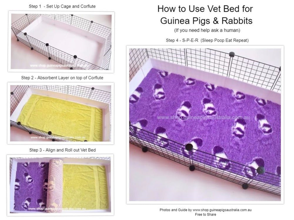 Vet Bed Lilac with Black Designer Paws - Guinea Pigs Australia